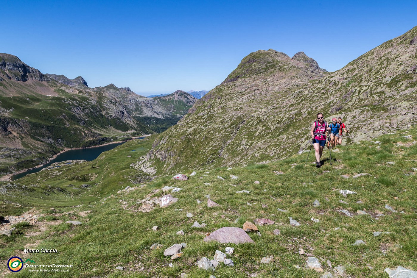 _MG_9239.JPG