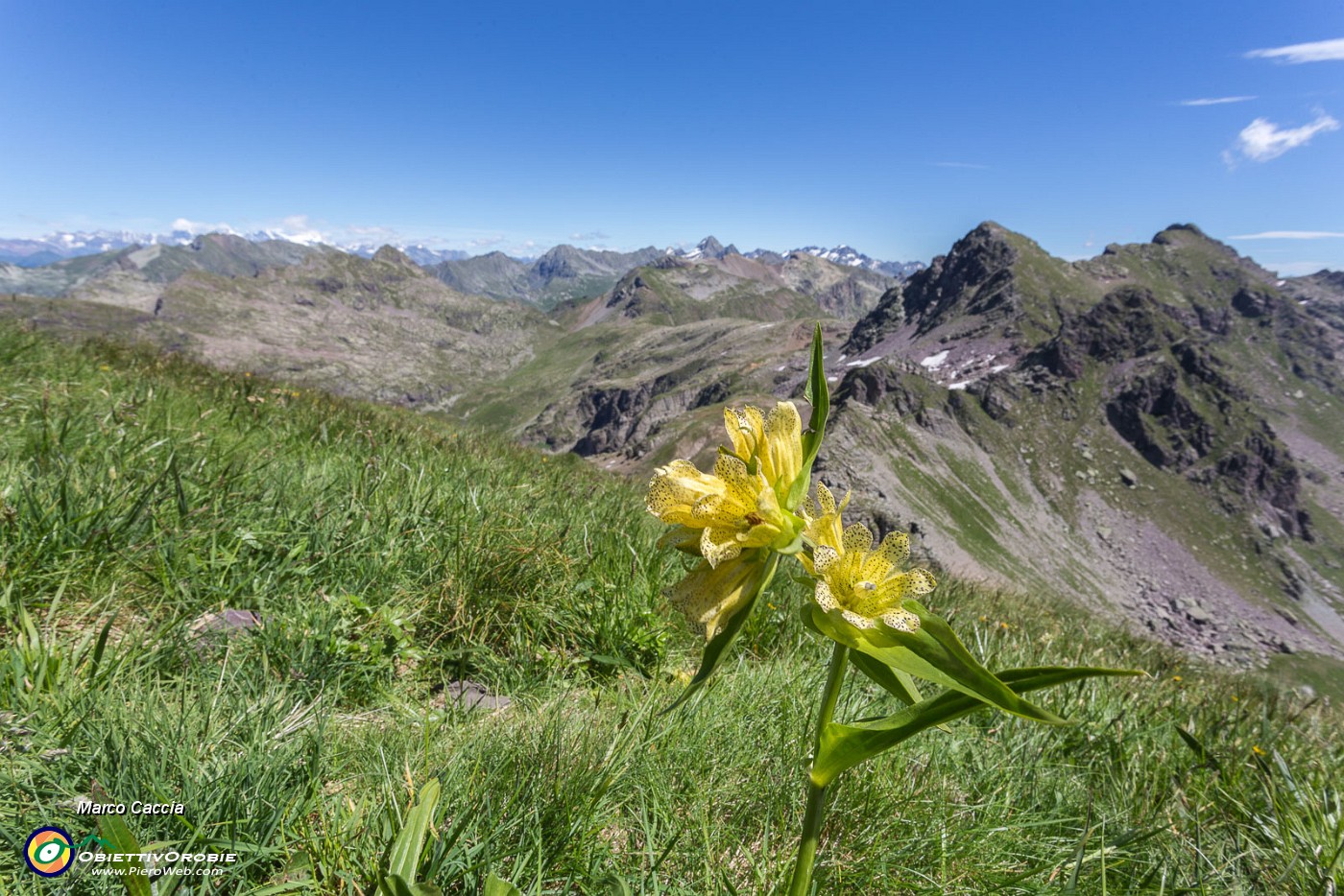 _MG_9272.JPG