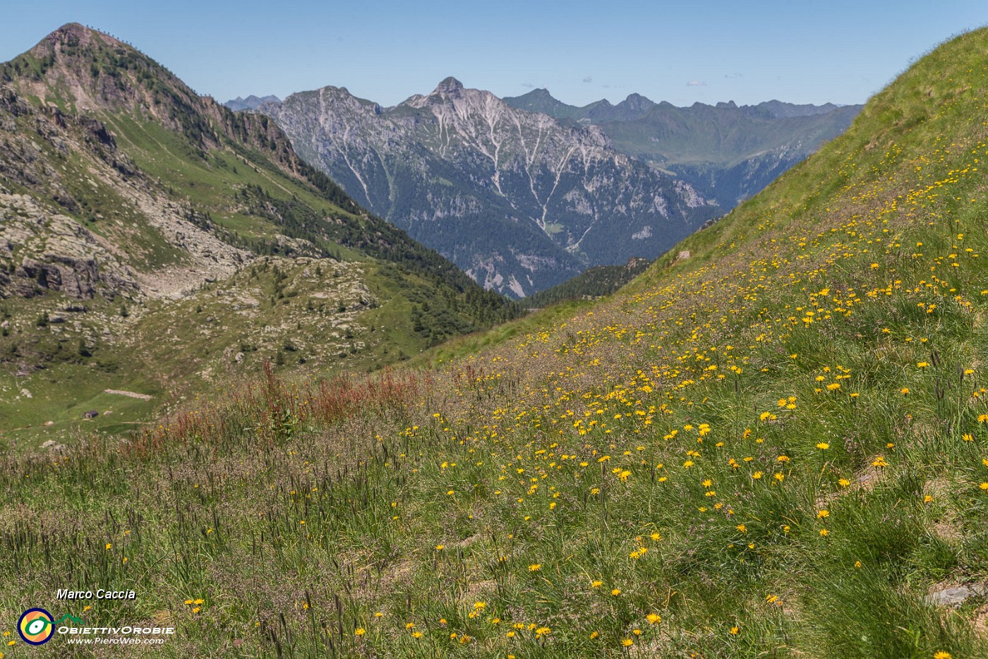 _MG_9295.JPG