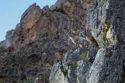 _MG_9153