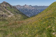 _MG_9295