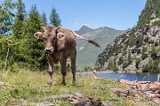 _MG_9326