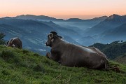 IMG_4334