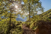 IMG_4351