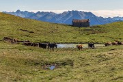 IMG_4402