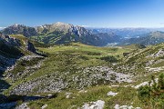 IMG_4426