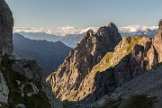IMG_4546