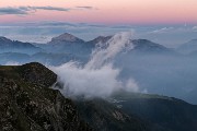IMG_4600