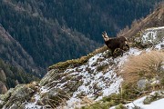 Sabato 24 Dicembre – M.te Pascaniello – C.ma Piazzotti - FOTOGALLERY