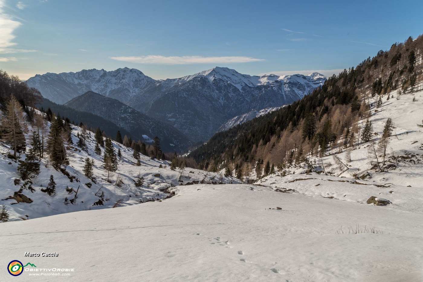 _MG_7407.JPG