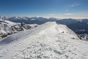 _MG_7494