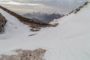 IMG_1225