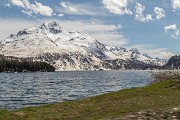 Sabato 10 Maggio 2014 – Piz Bernina, il mio primo 4000 con gli sci - FOTOGALLERY