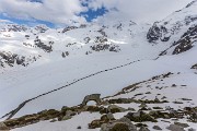 IMG_3719