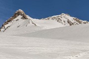 IMG_3795