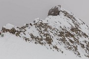 IMG_3831