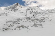 IMG_3881
