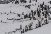 IMG_0733