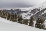 IMG_0753