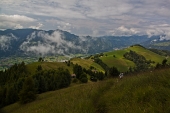 14_Panrama