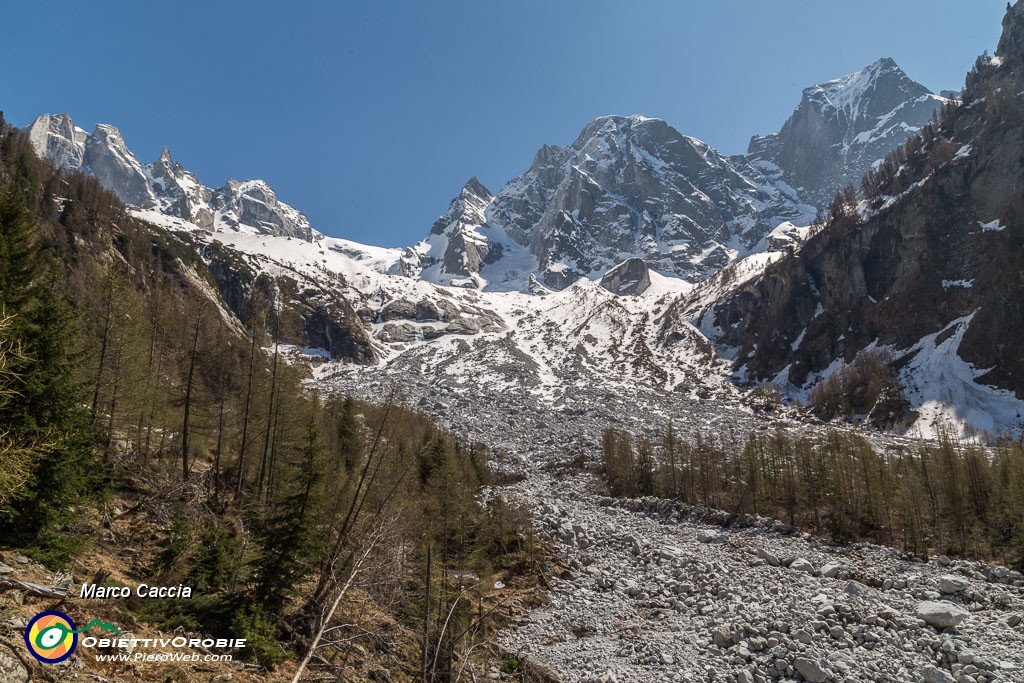 _MG_9622.JPG