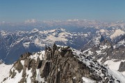 _MG_9558