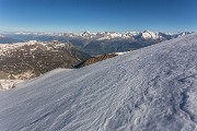 IMG_7517