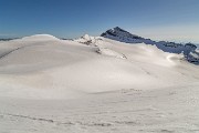 IMG_7534