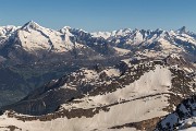 IMG_7554