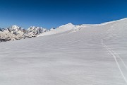 IMG_7561