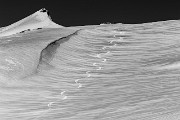 IMG_7668-1