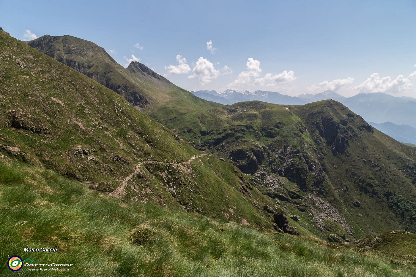 _MG_3111.JPG