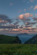 _MG_2958