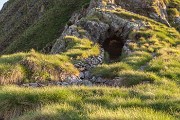 _MG_2973