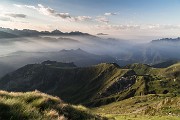 _MG_3007