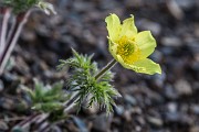 _MG_3057