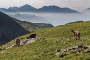 _MG_3075