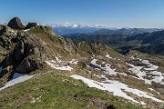 _MG_3103