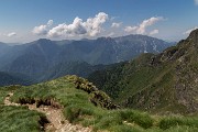 _MG_3113