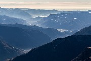 _MG_4782