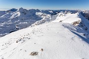 _MG_4793