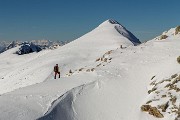_MG_4806