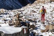 _MG_4854