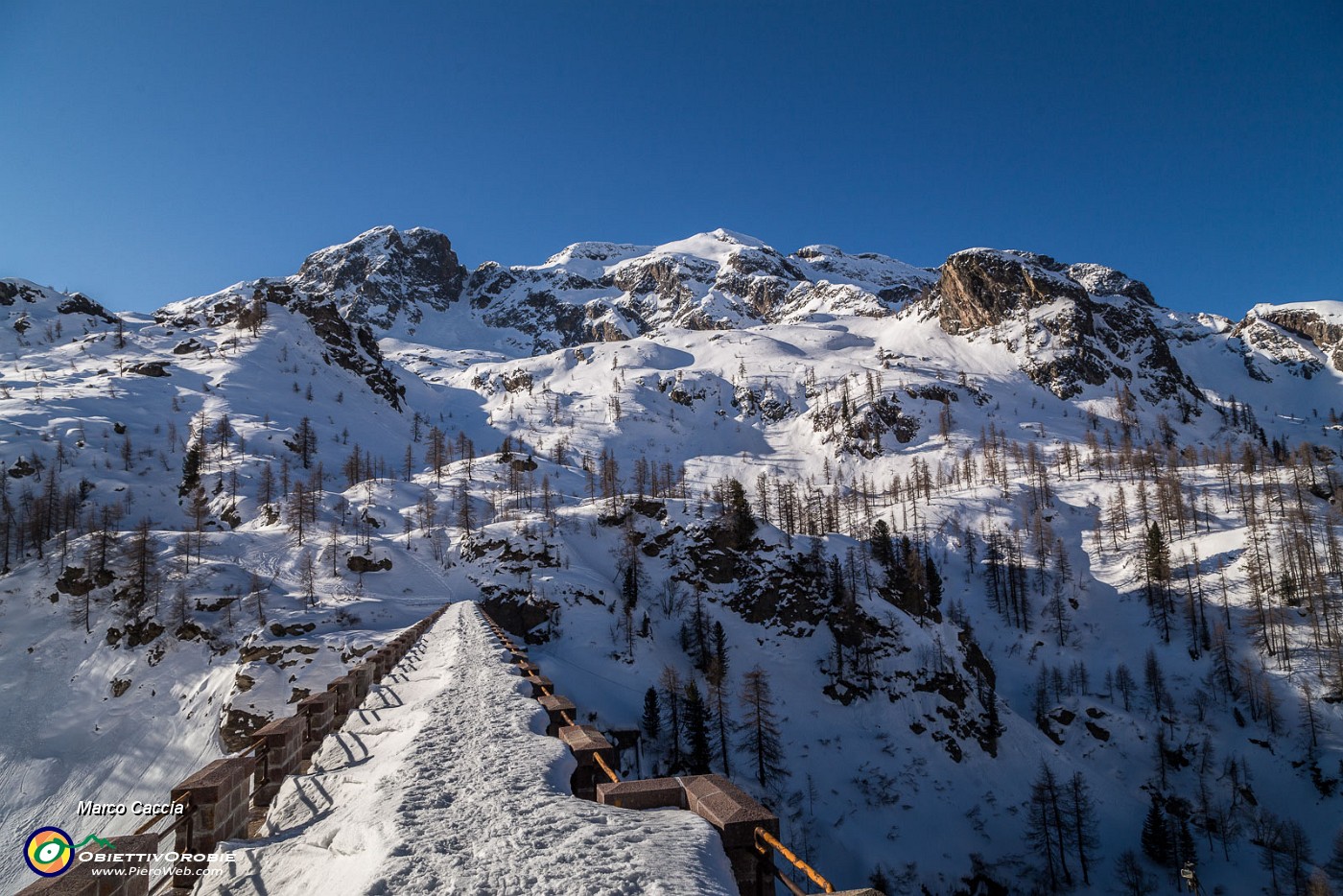 _MG_7778.JPG