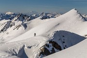 _MG_3886