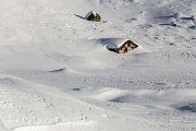 _MG_0436
