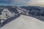 _MG_0517