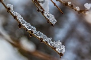 IMG_2292