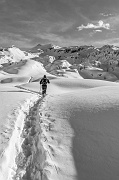 IMG_2336-2