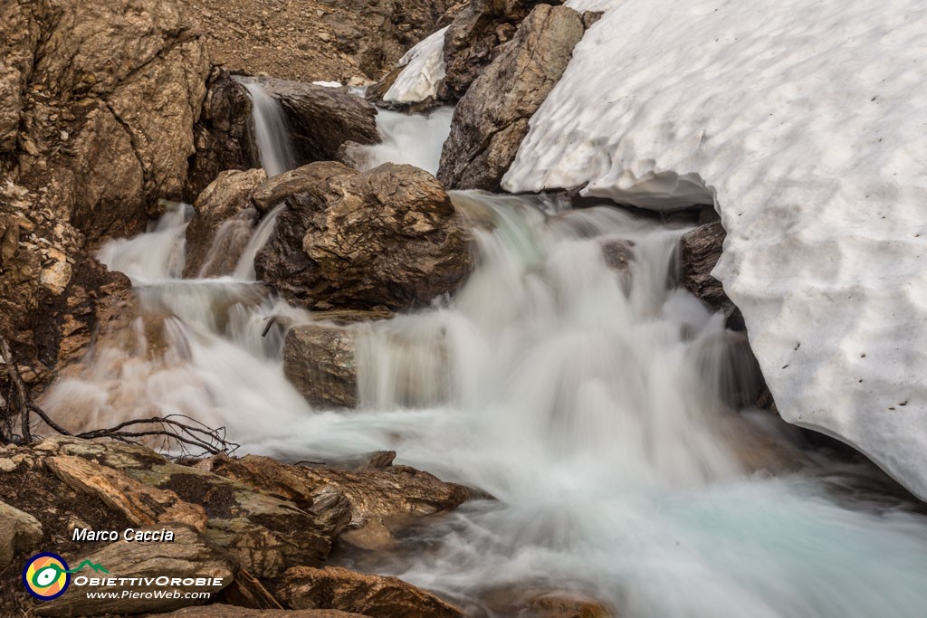 _MG_0082.JPG